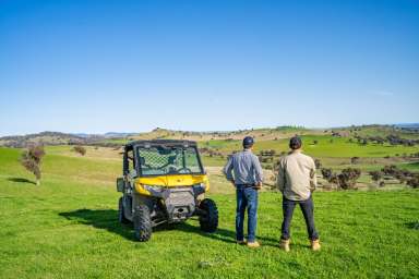 Farm For Sale - NSW - Woodstock - 2793 - HEAVY RED BASALT COUNTRY, HIGH RAINFALL & EXCELLENT INFRASTRUCTURE  (Image 2)