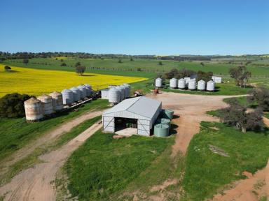 Farm For Sale - NSW - Harden - 2587 - Harden Blue Ribbon Cropping And Grazing Country  (Image 2)