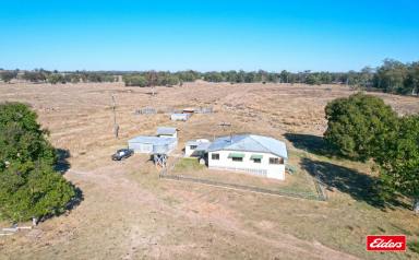 Farm Auction - QLD - Oman Ama - 4352 - Strategically situated, productive  rural lifestyle property  (Image 2)