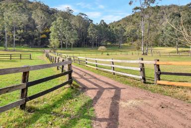 Farm For Sale - NSW - Fernances Crossing - 2325 - 'Horse Heaven'  (Image 2)
