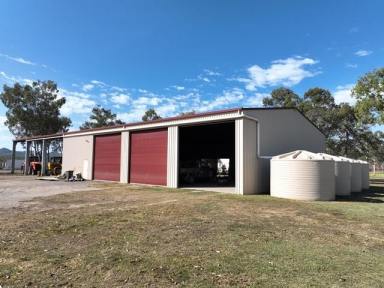 Farm Sold - QLD - Victoria Plains - 4751 - "KINGSBOROUGH"
1027 ACRES - 2 TITLES - VICTORIA PLAINS  (Image 2)