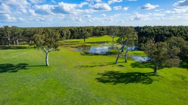 Farm Sold - VIC - Chetwynd - 3312 - Affordable Grazing Country  (Image 2)