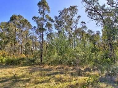 Farm For Sale - VIC - Clifton Creek - 3875 - 120 ACRE BUSH ESCAPE  (Image 2)