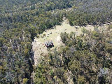 Farm For Sale - VIC - Clifton Creek - 3875 - 120 ACRE BUSH ESCAPE  (Image 2)