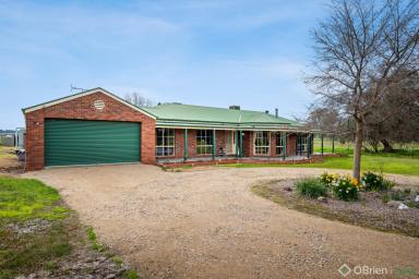 Farm For Sale - VIC - Laceby - 3678 - Family Home on 60 Acres  (Image 2)
