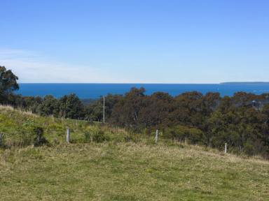 Farm For Sale - NSW - Berry - 2535 - Berry's Best Views with 83 Acres  (Image 2)