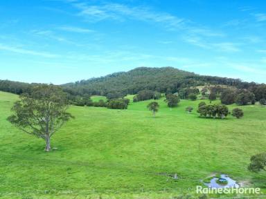 Farm For Sale - NSW - Far Meadow - 2535 - Amazing Vacant Acres- The Best Views Around  (Image 2)