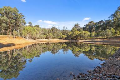 Farm Sold - WA - Lower Chittering - 6084 - ELEVATION, SERENITY & SECLUSION  (Image 2)