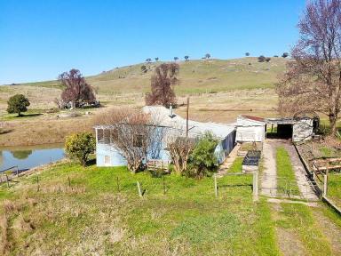 Farm Sold - NSW - Adelong - 2729 - "WILLOWVALE ADELONG"  (Image 2)