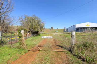 Farm Sold - NSW - Adelong - 2729 - "WILLOWVALE ADELONG"  (Image 2)