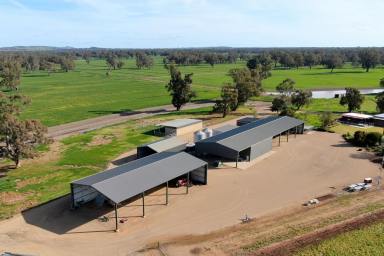 Farm Sold - NSW - Wagga Wagga - 2650 - Outstanding and Dynamic Mixed Irrigation Enterprise  (Image 2)
