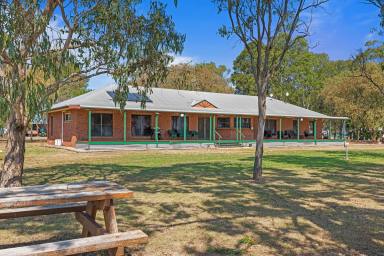 Farm Sold - QLD - Formartin - 4404 - “Waroonga”- Inner Downs Blue Chip Farming  (Image 2)