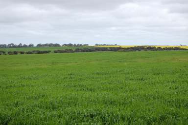 Farm Sold - WA - Munglinup - 6450 - 'WILLANJA'
Security along the south-coast.  (Image 2)