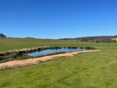 Farm Sold - WA - Quindanning - 6391 - Zilko Road and Box Poison Hill Road, Quindanning - 2 highly scenic hobby farms  (Image 2)