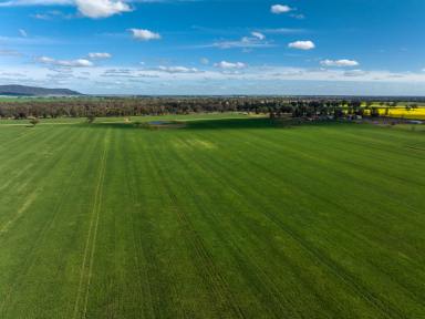 Farm For Sale - NSW - Piney Range - 2810 - Mixed Farming Opportunity  (Image 2)