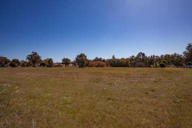 Farm Sold - NSW - Wellington - 2820 - DEVELOPMENT OPPORTUNITY  (Image 2)