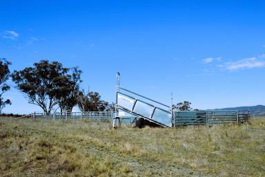 Farm Sold - NSW - Mudgee - 2850 - RIBBONWOOD  (Image 2)