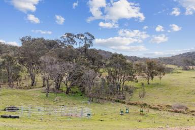 Farm For Sale - NSW - Murrumbateman - 2582 - Act Now: Your Dream Lifestyle Beckons  (Image 2)