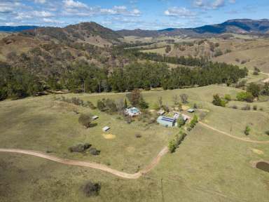 Farm Sold - NSW - Ganbenang - 2790 - Ultimate Lifestyle Location  (Image 2)