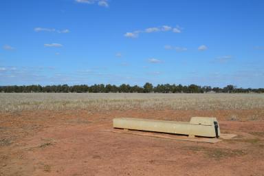 Farm For Sale - NSW - Temora - 2666 - Temora mixed farming with secure water  (Image 2)
