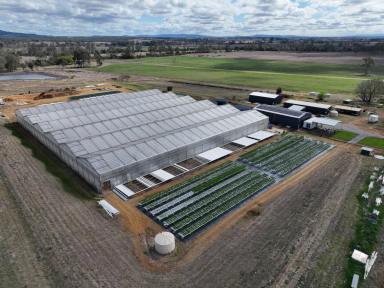 Farm For Sale - QLD - Harrisville - 4307 - Commercial Hydroponic Opportunity  (Image 2)