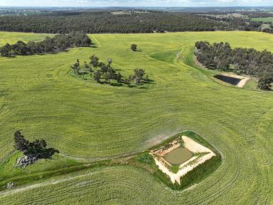 Farm For Sale - WA - Dinninup - 6244 - Productive Expansion Opportunity  (Image 2)