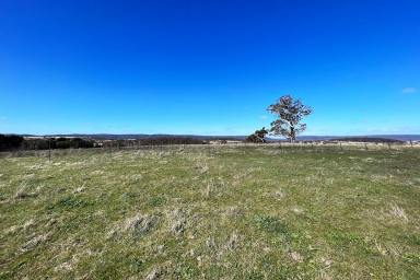 Farm Sold - NSW - Goulburn - 2580 - Nearly 50 acres, Breathtaking Valley & Mountain Views, 4BR, Newly Renovated, Double Garage + Workshop, Shearing Shed, Dam, Power, Grazing Land.  (Image 2)