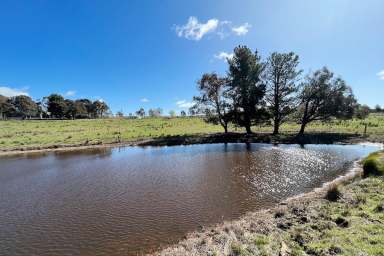 Farm Sold - NSW - Goulburn - 2580 - Nearly 50 acres, Breathtaking Valley & Mountain Views, 4BR, Newly Renovated, Double Garage + Workshop, Shearing Shed, Dam, Power, Grazing Land.  (Image 2)