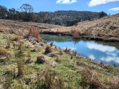 Farm For Sale - NSW - Mudgee - 2850 - SECLUDED LIFESTYLE FARM  (Image 2)