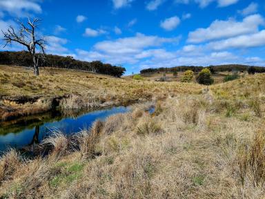 Farm For Sale - NSW - Mudgee - 2850 - SECLUDED LIFESTYLE FARM  (Image 2)