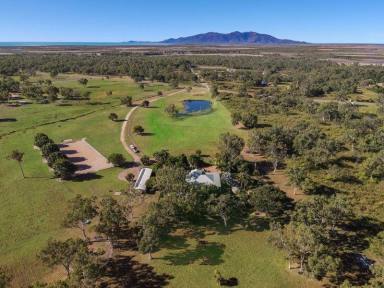 Farm Sold - QLD - Nome - 4816 - A MOVE TO THE COUNTRY  (Image 2)