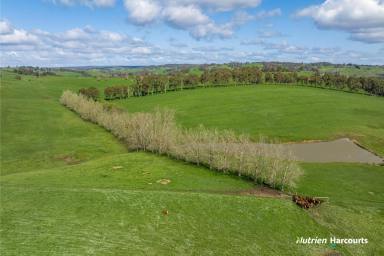 Farm For Sale - WA - Thomson Brook - 6239 - 'Top of the class in Donnybrook'  (Image 2)