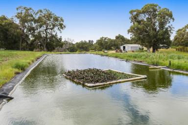 Farm For Sale - WA - Wanerie - 6503 - The Ultimate Lifestyle with Horticulture Attributes  (Image 2)