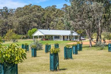 Farm Sold - WA - Mount Helena - 6082 - 15 Glorious Acres - Rural Bliss  (Image 2)