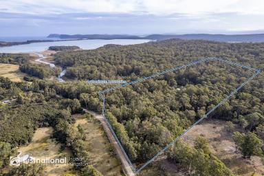 Farm Sold - TAS - South Bruny - 7150 - Pristine & Private, Minutes from Cloudy Bay Surf!  (Image 2)