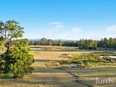 Farm For Sale - NSW - Mitchells Flat - 2330 - 260 ACRES OF HUNTER VALLEY OPPORTUNITY  (Image 2)