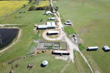 Farm Sold - WA - Tenterden - 6322 - Highly Regarded Property. One of the district's best!  (Image 2)