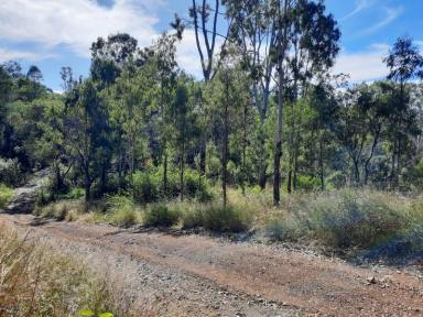 Farm For Sale - QLD - Moolboolaman - 4671 - Lifestyle, Weekender or Retirement EXCELLENT  (Image 2)