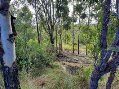 Farm For Sale - QLD - Moolboolaman - 4671 - Lifestyle, Weekender or Retirement EXCELLENT  (Image 2)