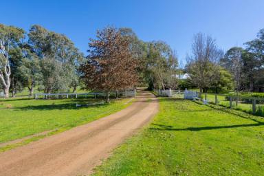 Farm For Sale - VIC - Gritjurk - 3315 - “CALTON HILL” - GREAT BALANCE OF COUNTRY  (Image 2)