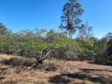 Farm Sold - QLD - Horse Camp - 4671 - Opportunity knocking but You need to Open the Door!!!!!!!!!!  (Image 2)