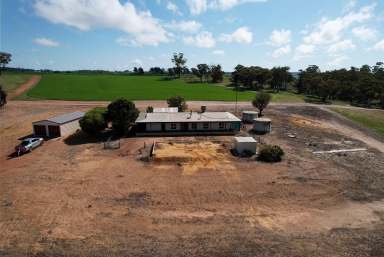 Farm Sold - WA - Morbinning - 6304 - Fabulous 5-Bedroom Home on 10 Acres, Red Hill  (Image 2)