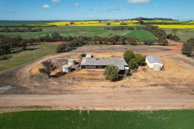 Farm Sold - WA - Morbinning - 6304 - Fabulous 5-Bedroom Home on 10 Acres, Red Hill  (Image 2)