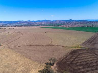 Farm Sold - NSW - Parraweena - 2339 - Arable Grazing Opportunity in a Tightly Held Region  (Image 2)