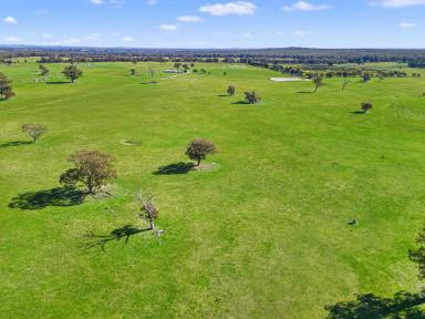 Farm For Sale - VIC - Toolleen - 3551 - •	A Gem of a property  (Image 2)