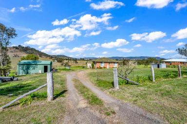 Farm Sold - NSW - Dungog - 2420 - A Dream Location Packed With Potential  (Image 2)