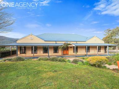 Farm For Sale - VIC - Piedmont - 3833 - A COUNTRY ESTATE OF YOUR OWN  (Image 2)