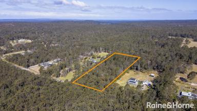 Farm For Sale - NSW - Falls Creek - 2540 - 2.04 Hectares of Untouched Beauty  (Image 2)