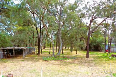 Farm Sold - NSW - Spring Ridge - 2343 - 3 BEDROOM HOME, LARGE BLOCK & SHEDS  (Image 2)