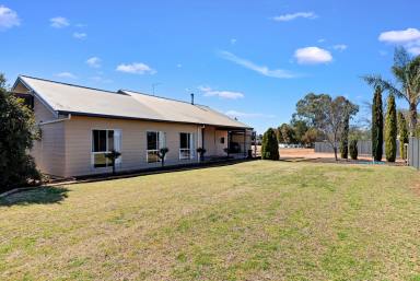 Farm For Sale - VIC - Red Cliffs - 3496 - Ideal Living  (Image 2)